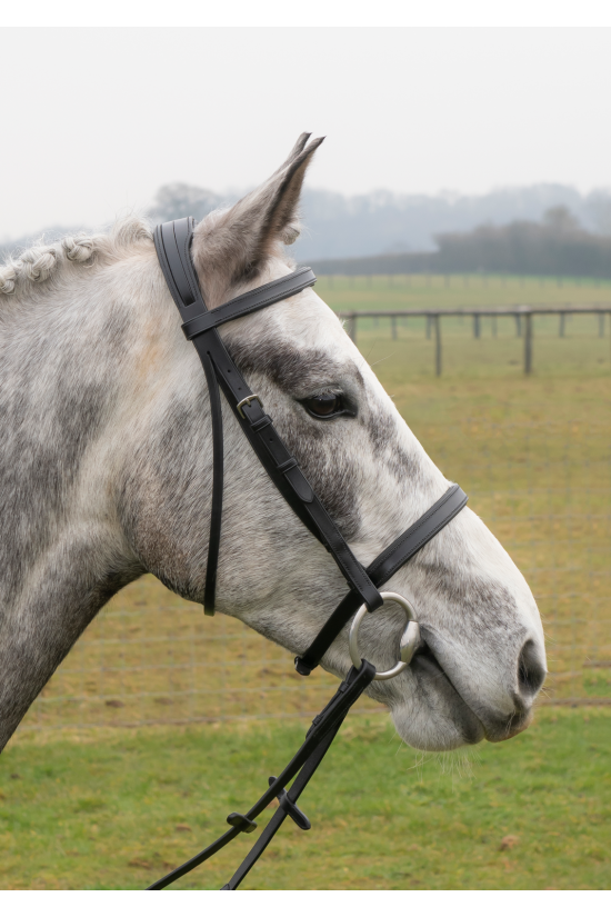 Anatomical Narrow Flat Padded Bridle