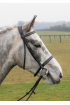 Anatomical Narrow Flat Padded Bridle