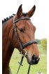 Anatomical padded cavesson bridle