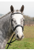 Build an Anatomical  Black Bridle