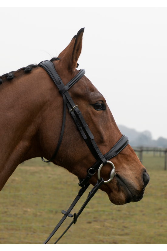 Build a Premier Havana Bridle