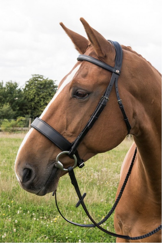 Anatomical Flat Padded Bridle
