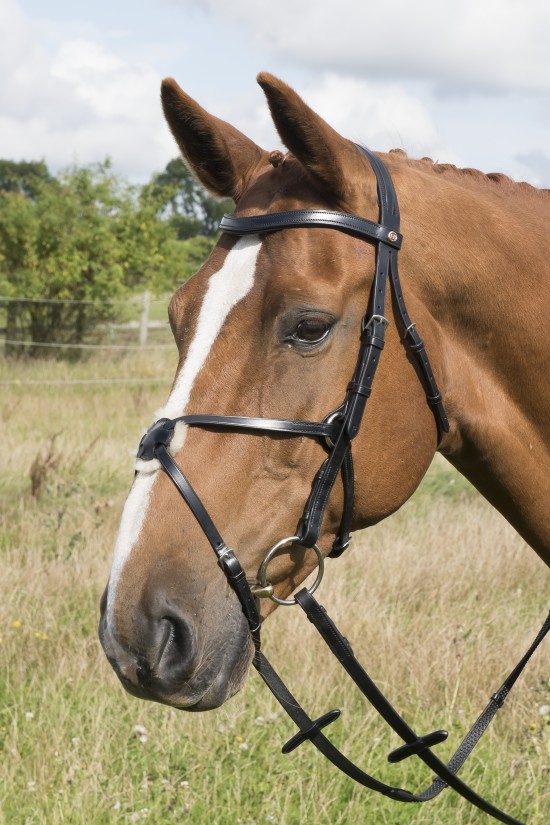 Build a Black Grackle Bridle
