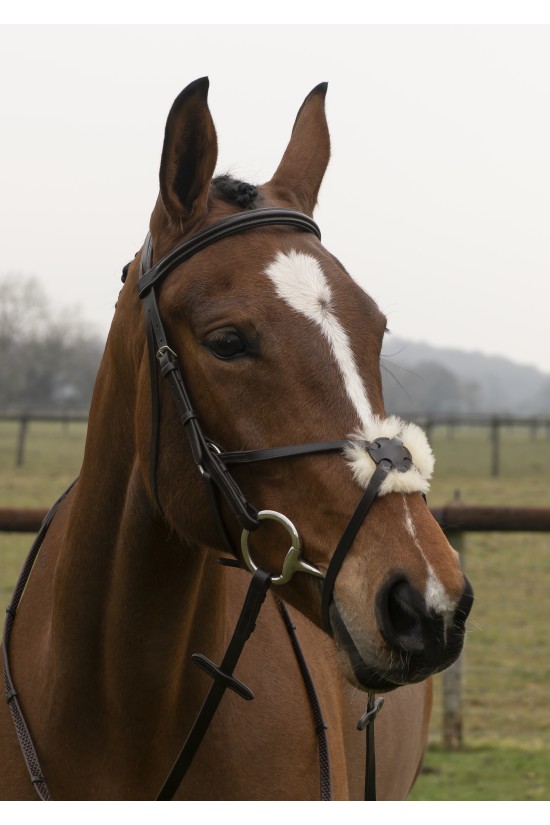 Build a Premier Havana Grackle bridle