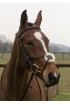 Build a Premier Havana Grackle bridle