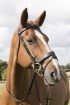 EB English Bridle with detachable flash