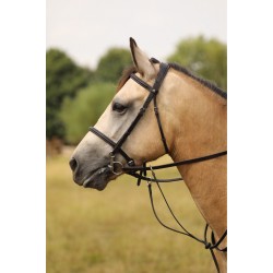 English Pony Bridles