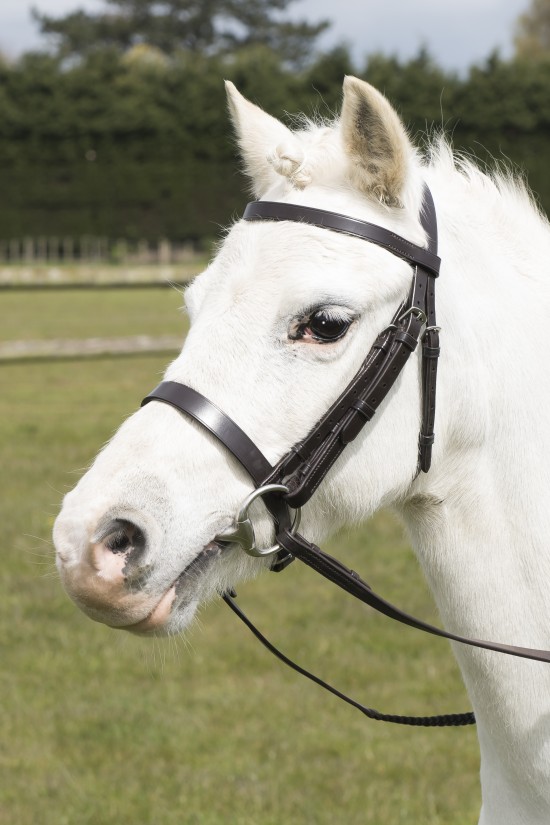 Black Pony Show Bridle