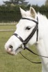 Black Pony Show Bridle