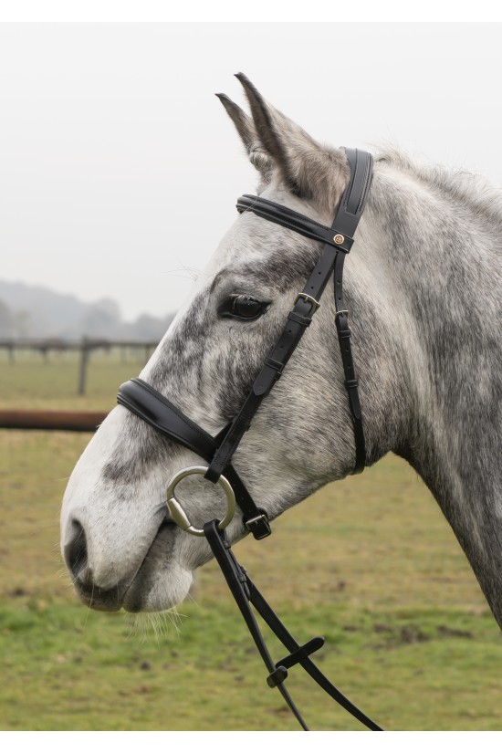 Build an Anatomical  Black Bridle