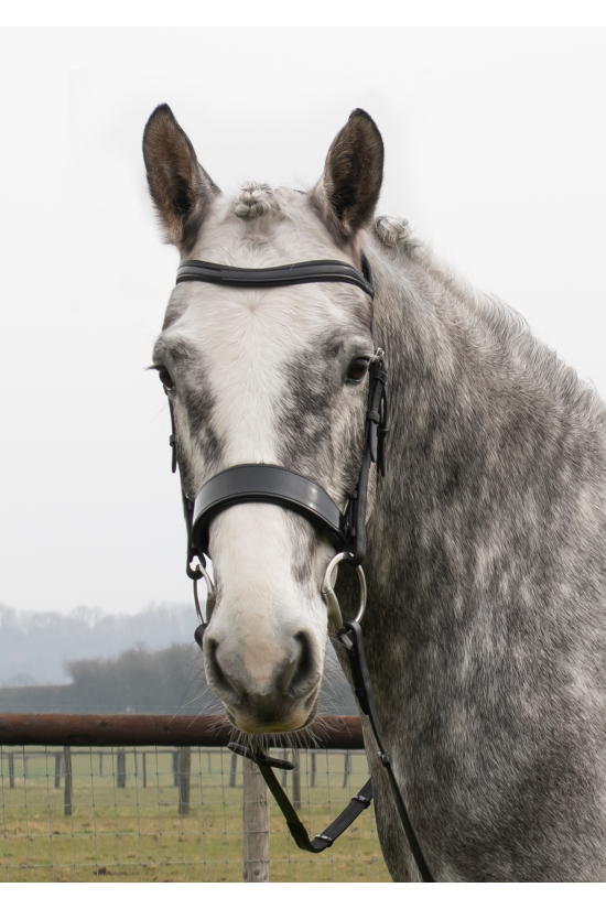 Premier Anatomical Black Patent Bridle