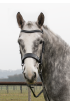 Premier Anatomical Black Patent Bridle