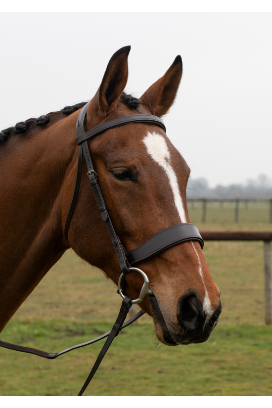 Build A Premier Havana Padded  Bridle