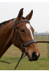 Build A Premier Havana Padded  Bridle