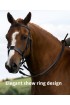 Premier Havana Show Bridle