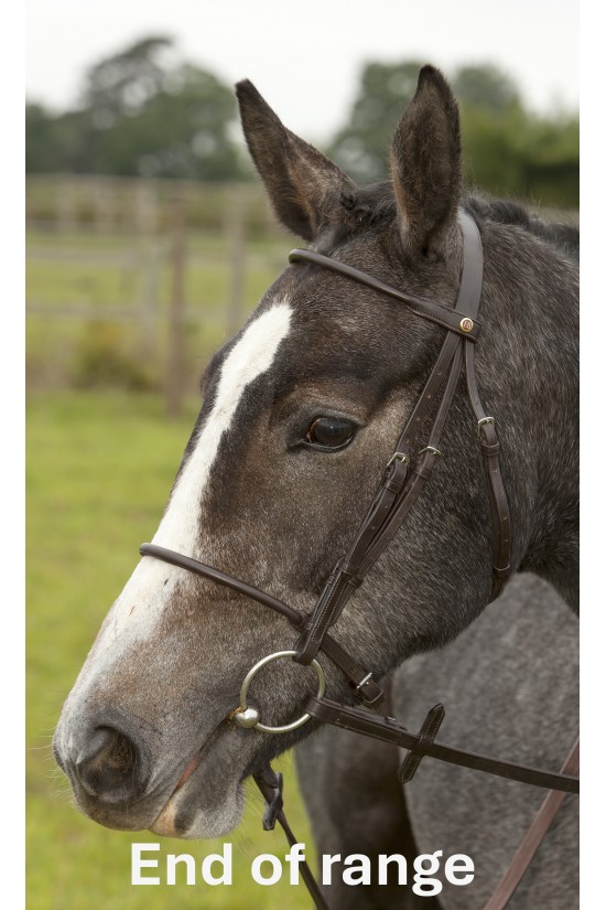 English Rolled Bridle