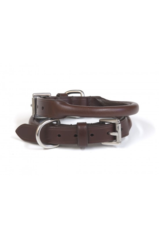 Small Dog Rolled Collar