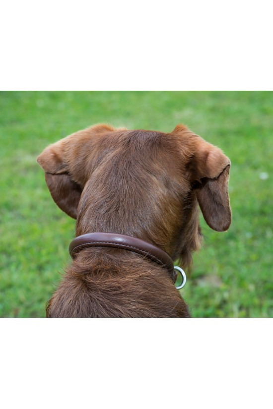 Rolled Leather Dog Collar