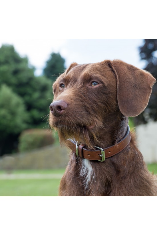 English Handcrafted  Dog Collar