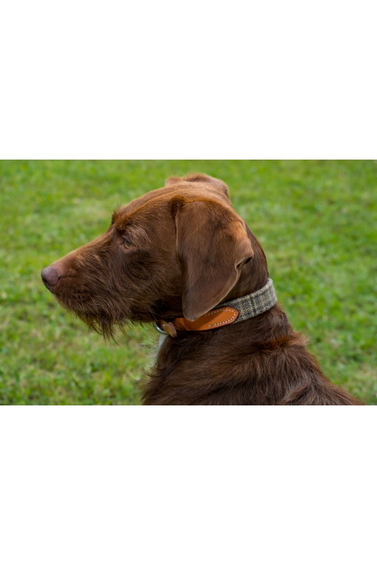 Tweed Dog Collar