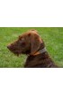 Tweed Dog Collar