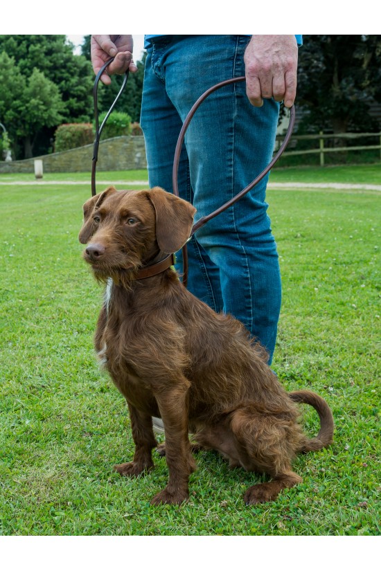 Rolled Leather Dog Lead
