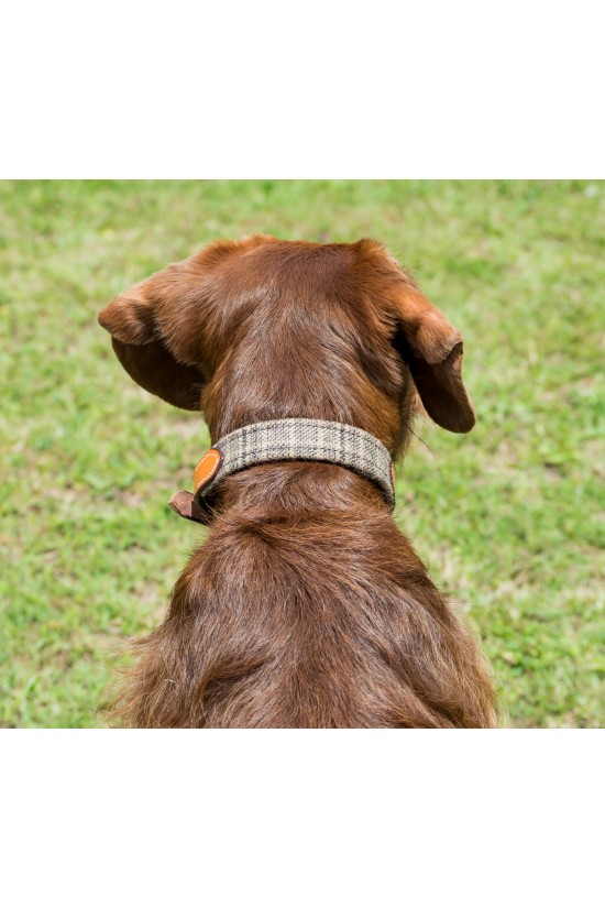 Tweed Dog Collar
