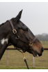 EB Comfort Headcollar
