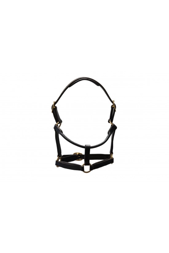 EB Front Fastening Headcollar