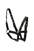 Foal Nylon Headcollar