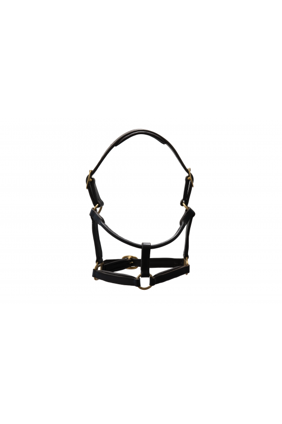 Front Fastening LeatherHeadcollar