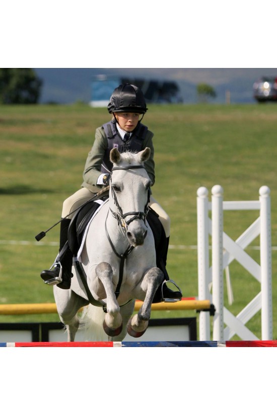 EB Comfort Pony Bridle Fixed Flash