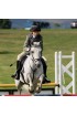 EB Comfort Pony Bridle Fixed Flash