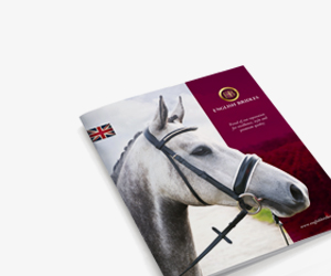 ENGLISH BRIDLES BROCHURE