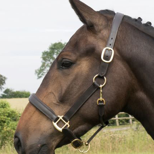 Eb Leather Headcollars 